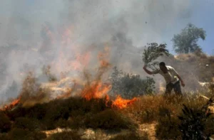 مستعمرون يضرمون النيران في أراضي يتما جنوب نابلس مستعمرون يضرمون النيران في أراضي يتما جنوب نابلس